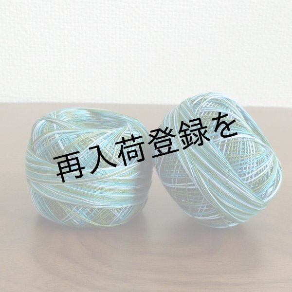 画像3: Lizbeth(リズベス)レース糸 Mix Col.117  Size40 【Country Side】 (3)