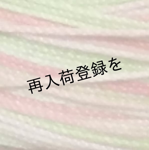 画像4: Lizbeth(リズベス）レース糸　Mix Col.171 Size20 【Green Coral Sea】 (4)