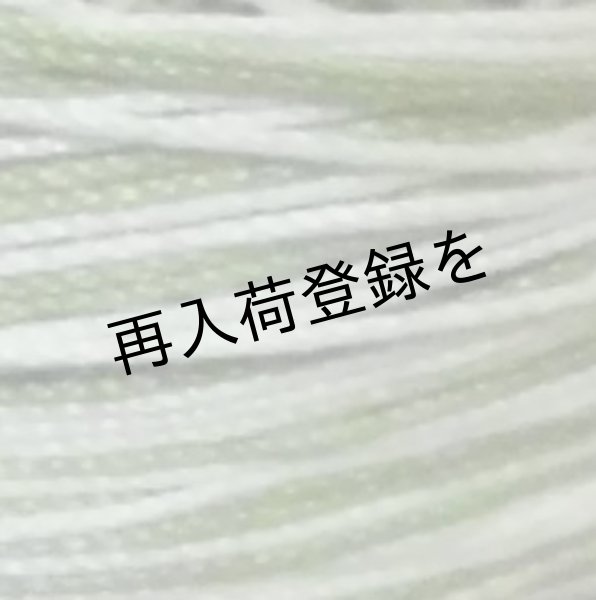 画像4: Lizbeth(リズベス）レース糸　Mix Col.144 Size20 【Leaf Swirl】 (4)