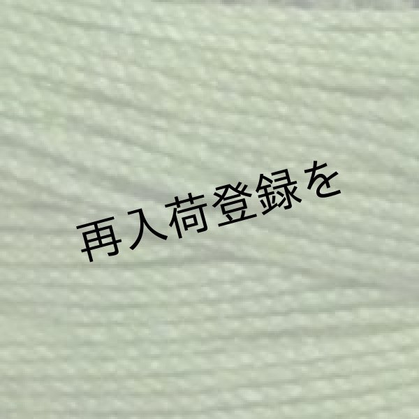 画像4: Lizbeth(リズベス）レース糸　単色　Size20　Col.684 【Lerf Green Med】 (4)