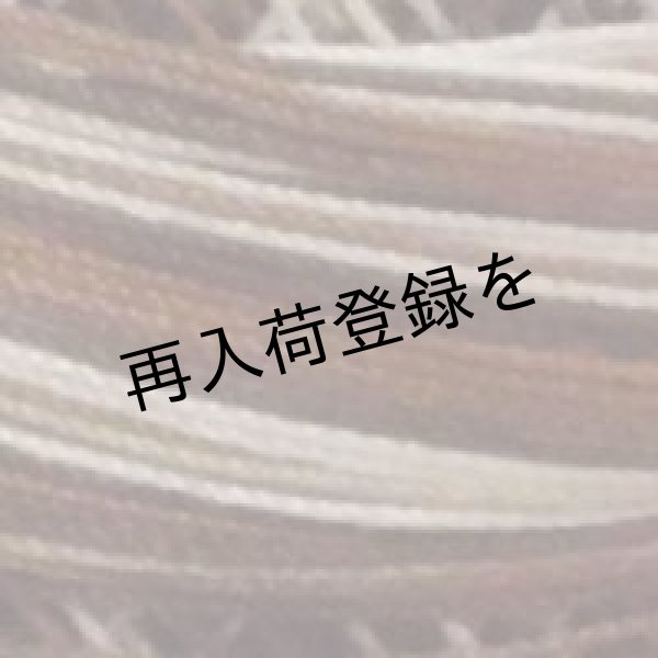 画像4: Lizbeth(リズベス）レース糸　Mix Col.150 Size20 【Rootbeer Float】 (4)