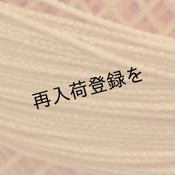 画像3: Lizbeth(リズベス）レース糸　単色　Size20　Col.696　 【Autumn Orange Med】 (3)