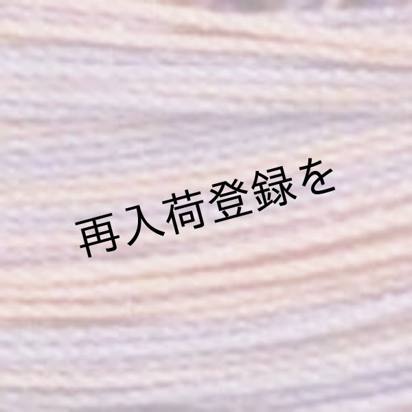 画像4: Lizbeth(リズベス）レース糸　Mix Col.114 Size20 【Sea Shells】 (4)