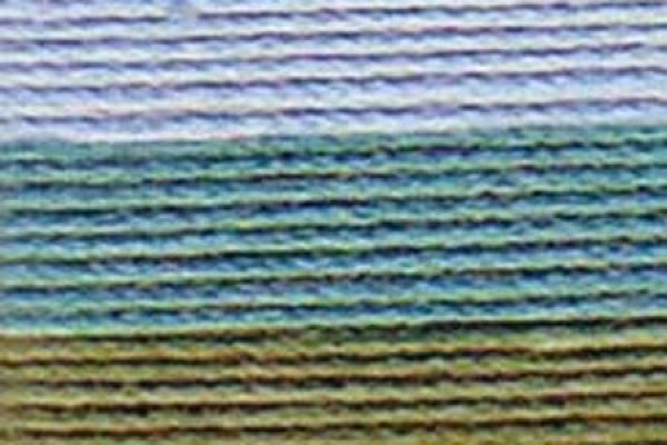 画像1: Lizbeth(リズベス）レース糸　Mix　Size80 Col.117 【Country Side】 (1)