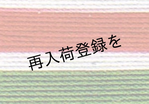 画像1: Lizbeth(リズベス）レース糸　Mix　Size80 Col.116  【Christmas Delight】 (1)