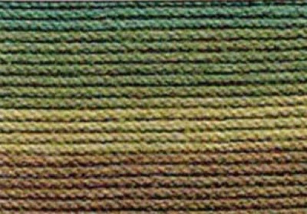 画像1: Lizbeth(リズベス）レース糸　Mix Col.179 Size40　【Herbal Garden】 (1)