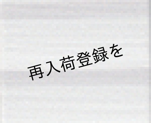 画像2: Lizbeth(リズベス)レース糸 Mix Col.190 Size40 【Silver Ice】 (2)