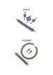 画像6: 【6月末ごろ入荷予定のご予約商品】【新刊】 "Tatting Stories – Being a Woman."(Iwona Zajdel) (6)