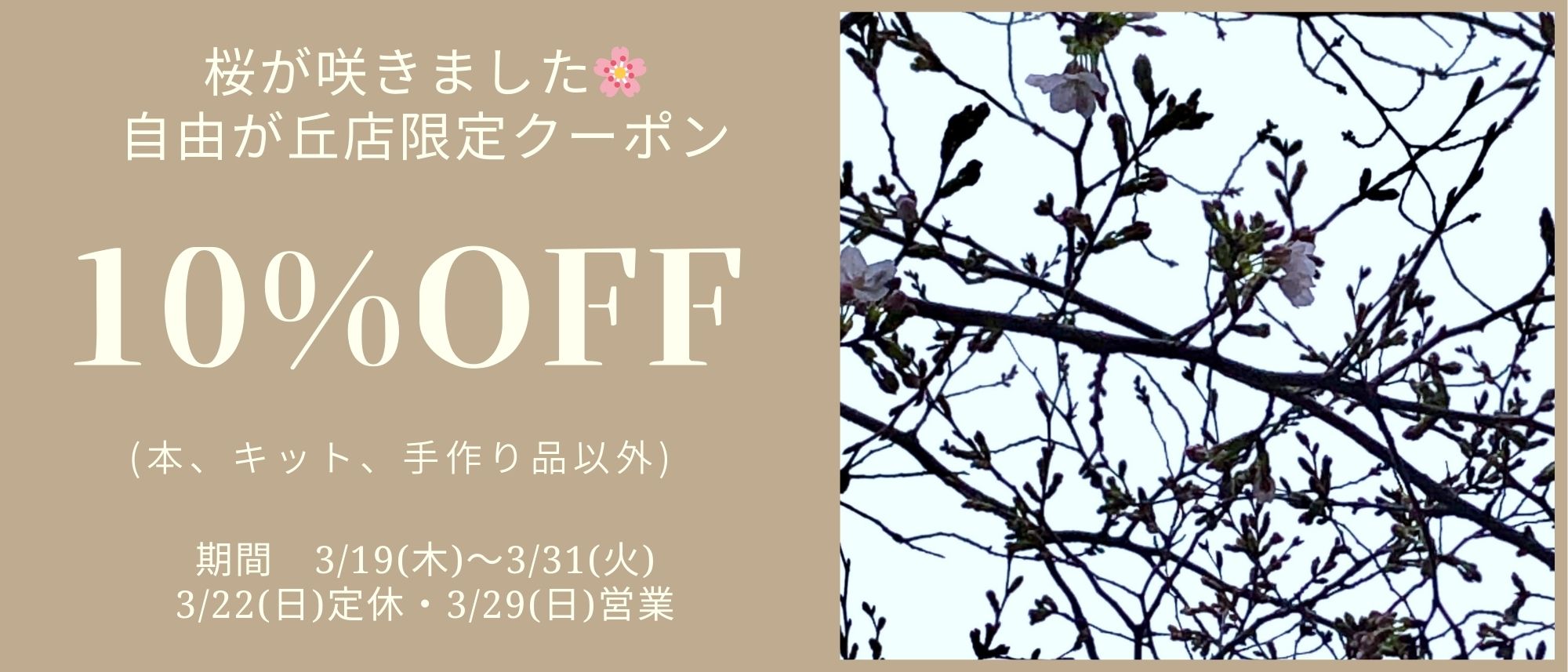 桜が咲きました🌸